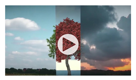Video: